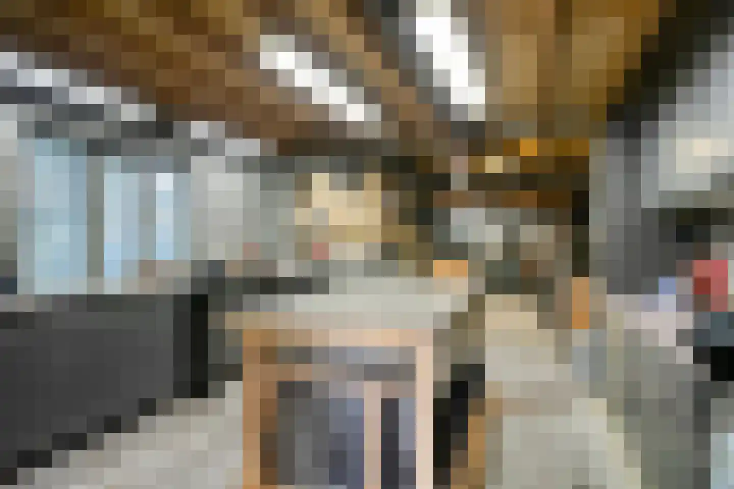 Vogelwikke 12 Bladel thumbnail 49