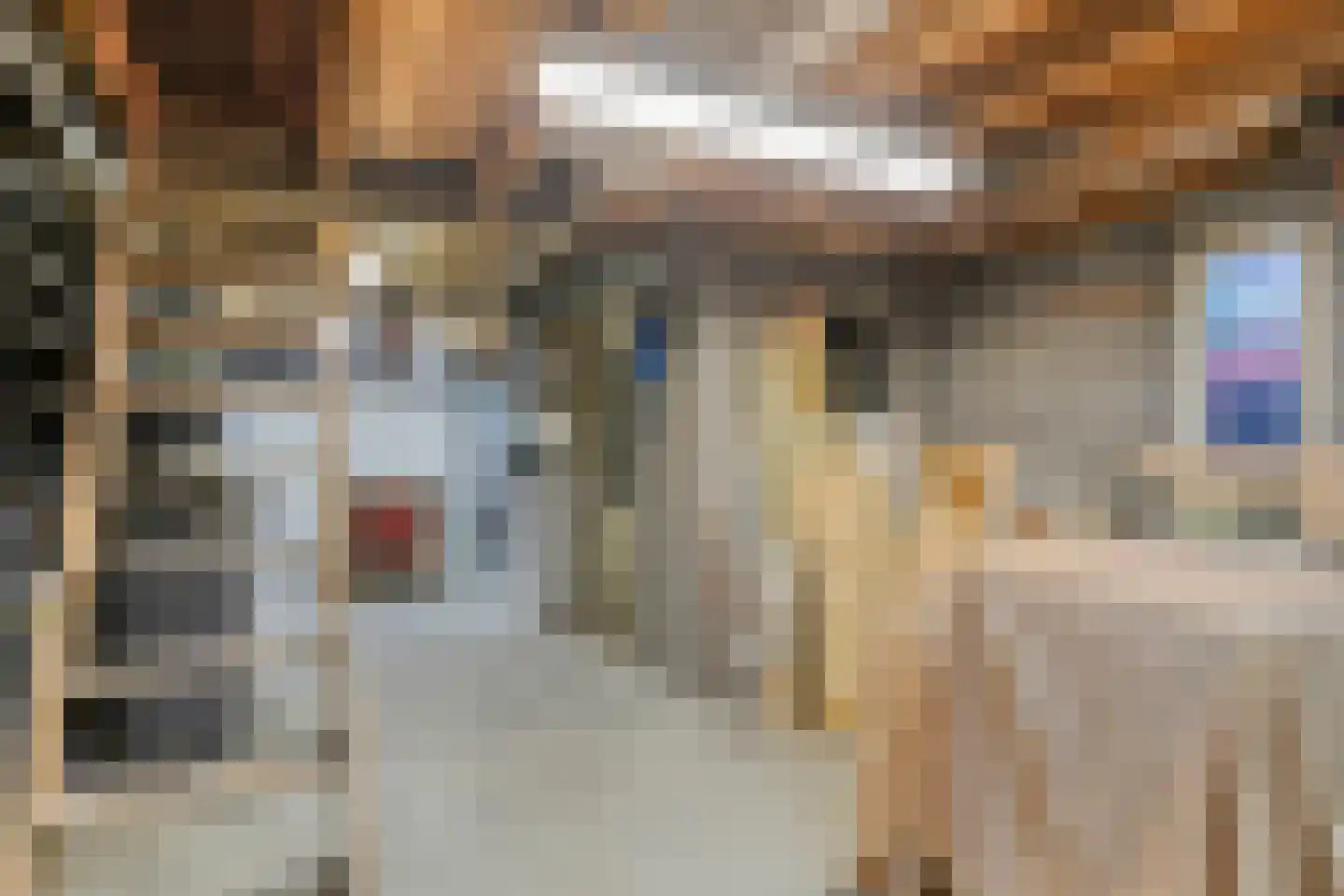 Vogelwikke 12 Bladel thumbnail 52