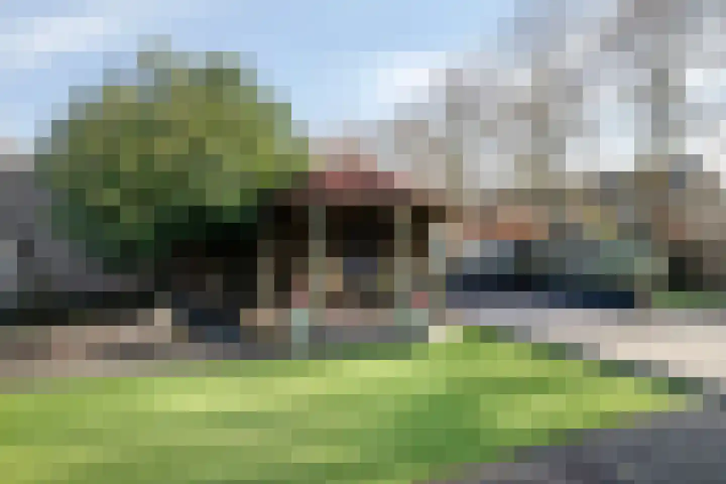 Vogelwikke 12 Bladel thumbnail 61