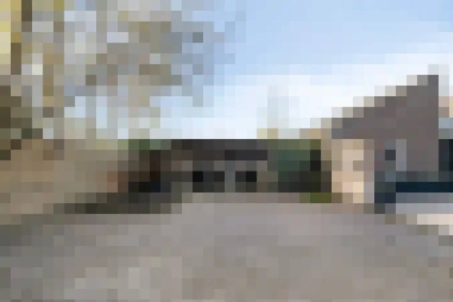 Vogelwikke 12 Bladel thumbnail 64