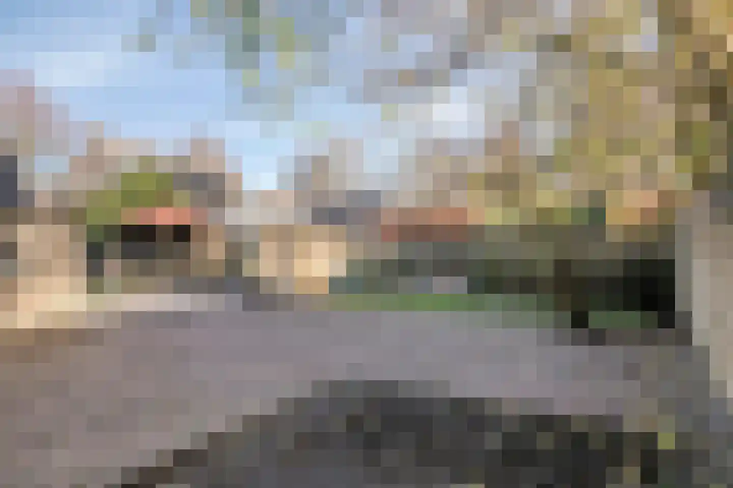 Vogelwikke 12 Bladel thumbnail 65