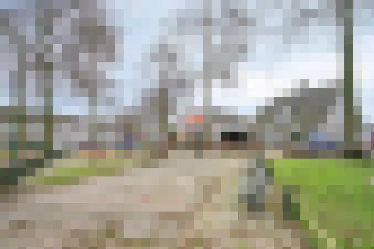 Vogelwikke 12 Bladel thumbnail 67