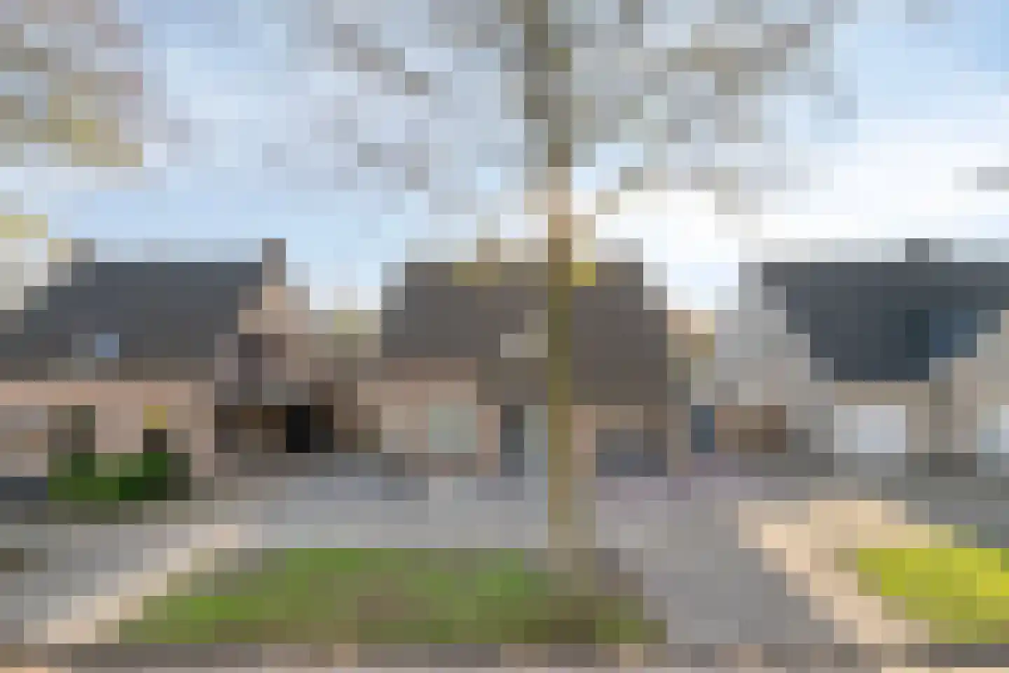 Vogelwikke 12 Bladel thumbnail 70