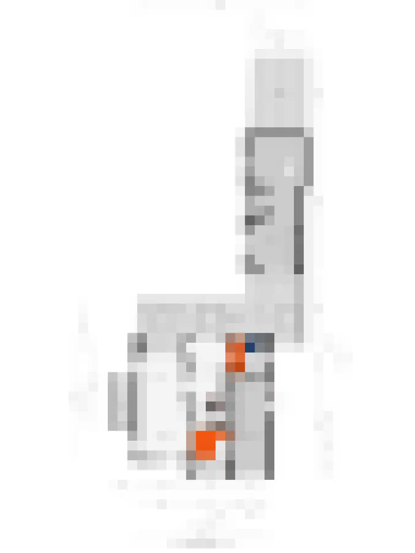 Vogelwikke 12 Bladel thumbnail 74