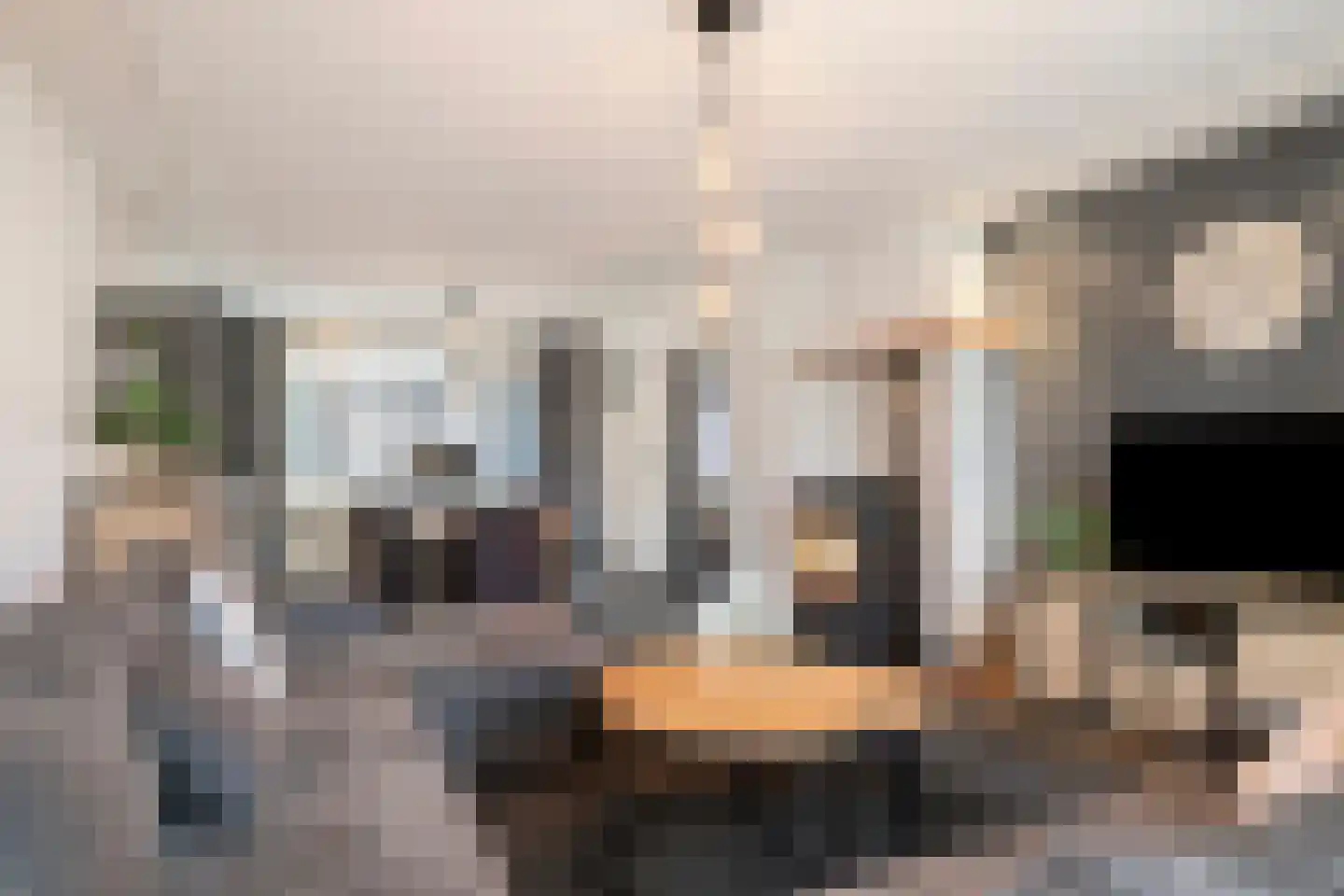 Vogelwikke 12 Bladel thumbnail 9
