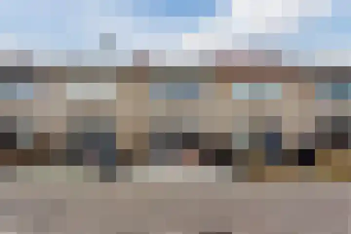 Vogelwikke 20 Swifterbant