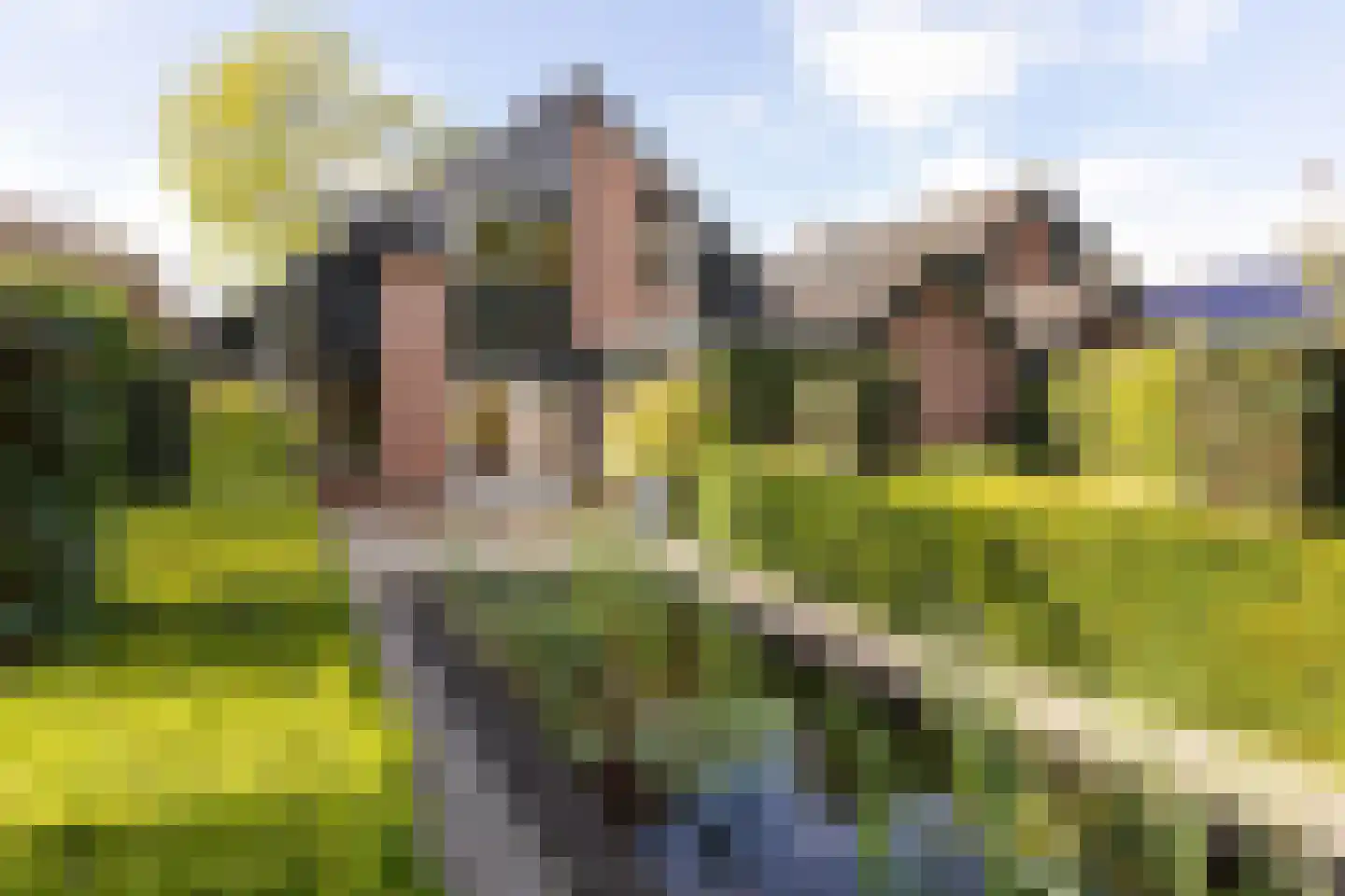 Vogelwikke 21 Maartensdijk