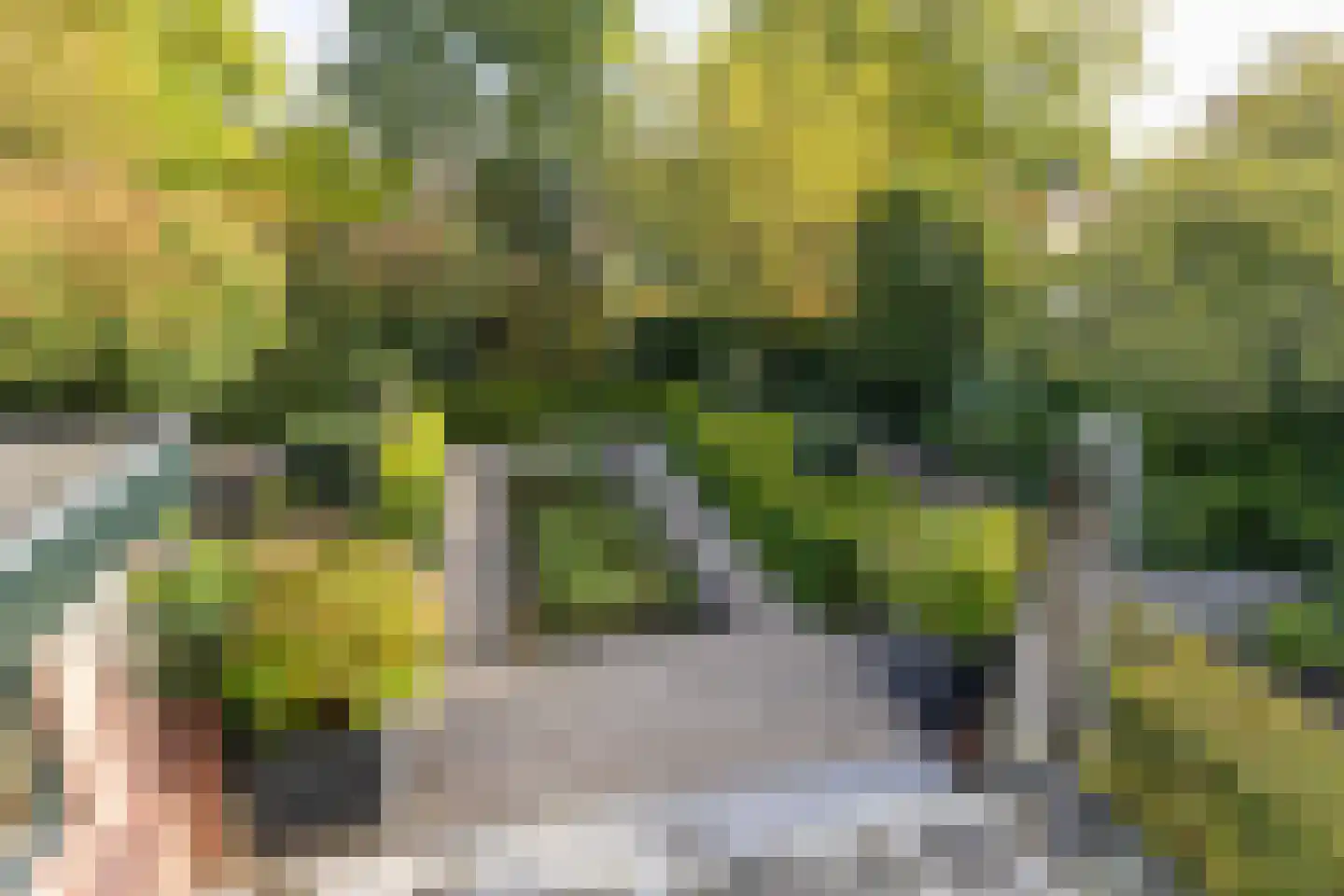 Vogelwikke 21 Maartensdijk thumbnail 34