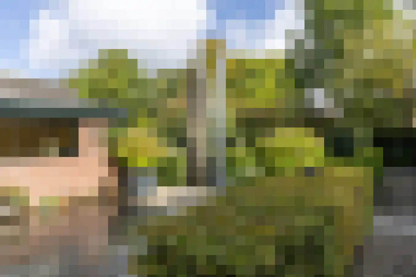 Vogelwikke 21 Maartensdijk thumbnail 36