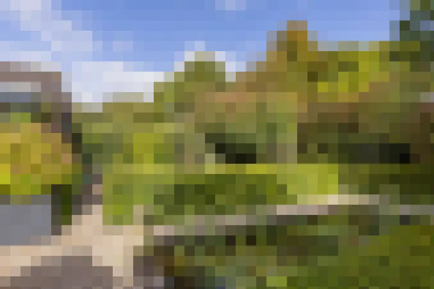 Vogelwikke 21 Maartensdijk thumbnail 37