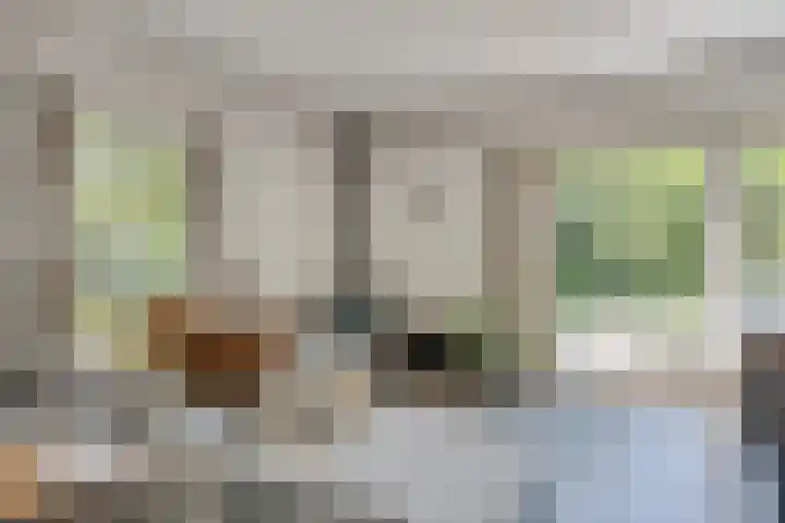 Vogelwikke 24 Lochem thumbnail 13