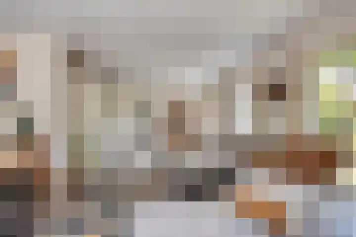 Vogelwikke 24 Lochem thumbnail 14
