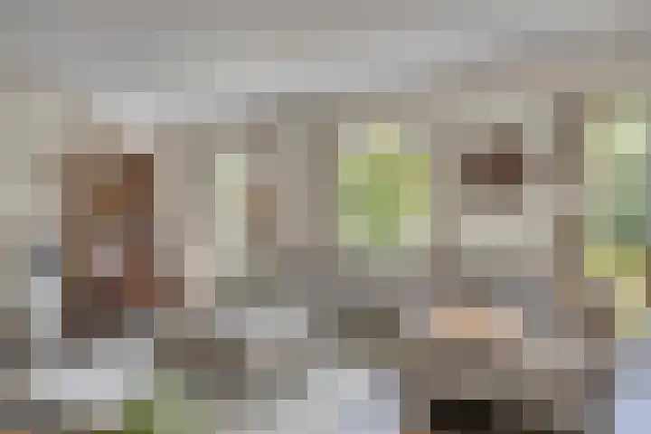 Vogelwikke 24 Lochem thumbnail 15