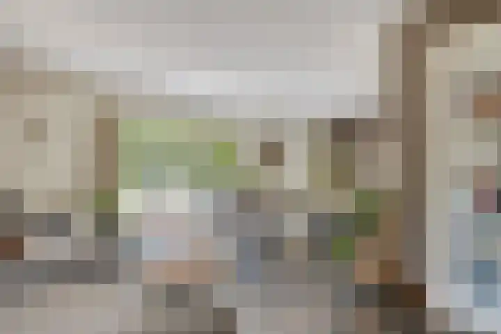 Vogelwikke 24 Lochem thumbnail 16