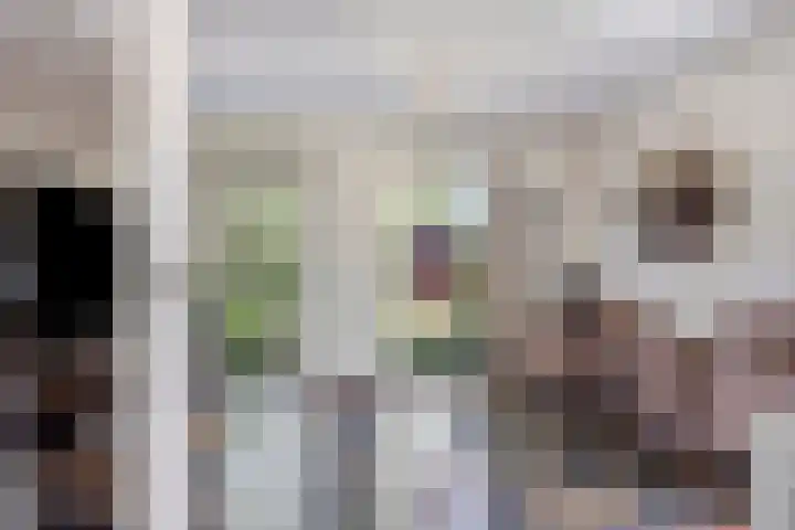 Vogelwikke 24 Lochem thumbnail 17