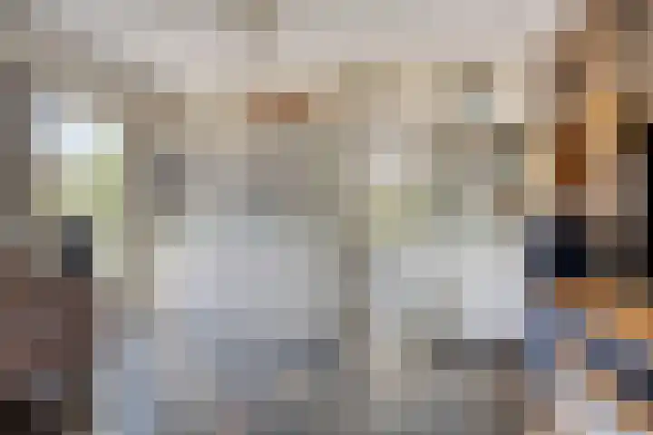 Vogelwikke 24 Lochem thumbnail 18