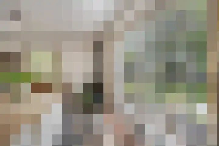 Vogelwikke 24 Lochem thumbnail 20