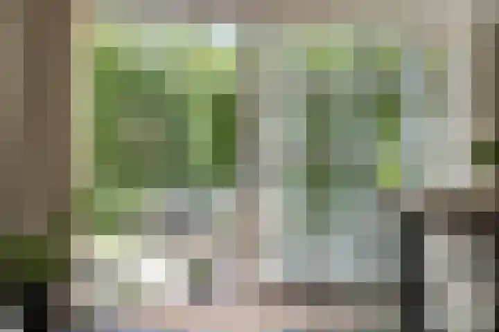 Vogelwikke 24 Lochem thumbnail 22