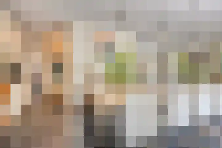 Vogelwikke 24 Lochem thumbnail 23