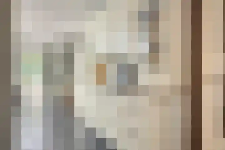 Vogelwikke 24 Lochem thumbnail 27