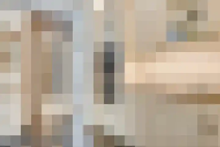 Vogelwikke 24 Lochem thumbnail 28