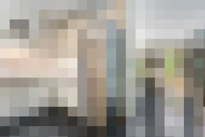 Vogelwikke 24 Lochem thumbnail 30