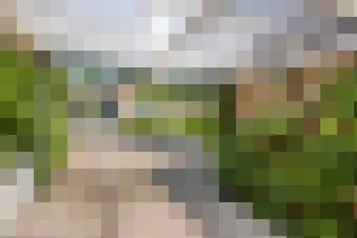 Vogelwikke 24 Lochem thumbnail 4