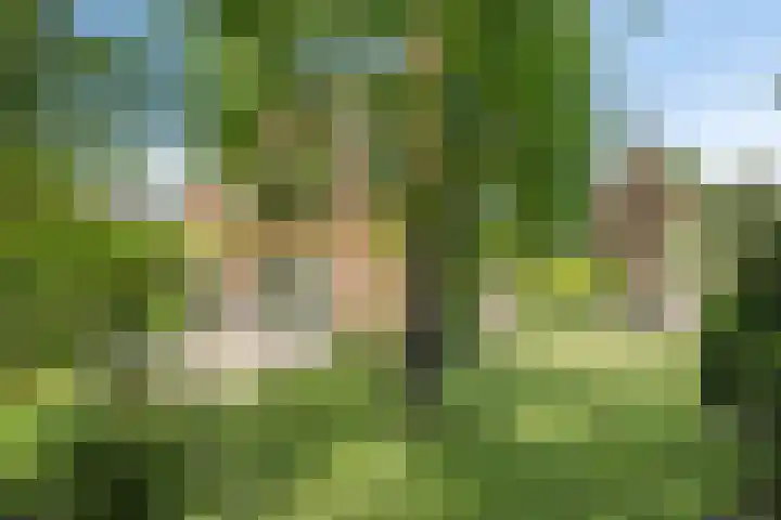 Vogelwikke 24 Lochem thumbnail 46