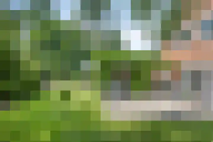 Vogelwikke 24 Lochem thumbnail 47
