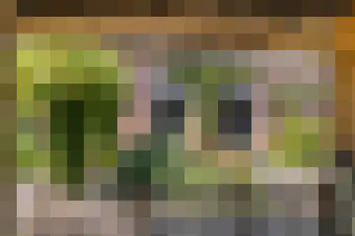 Vogelwikke 24 Lochem thumbnail 49