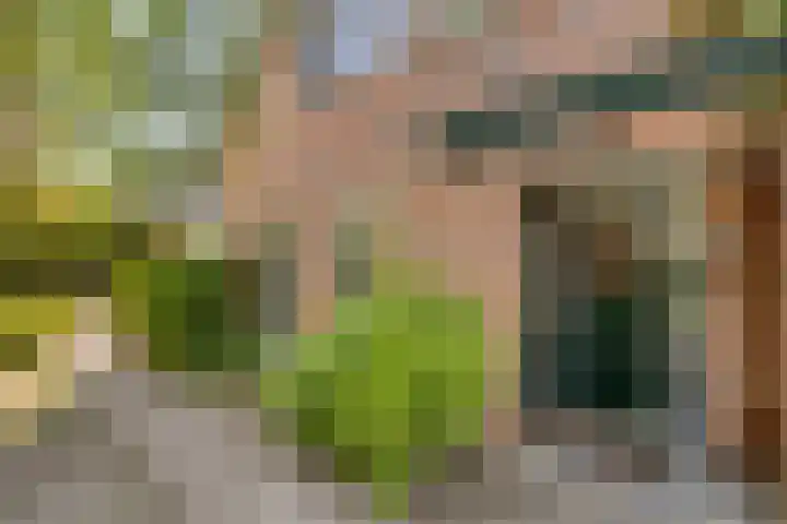 Vogelwikke 24 Lochem thumbnail 5