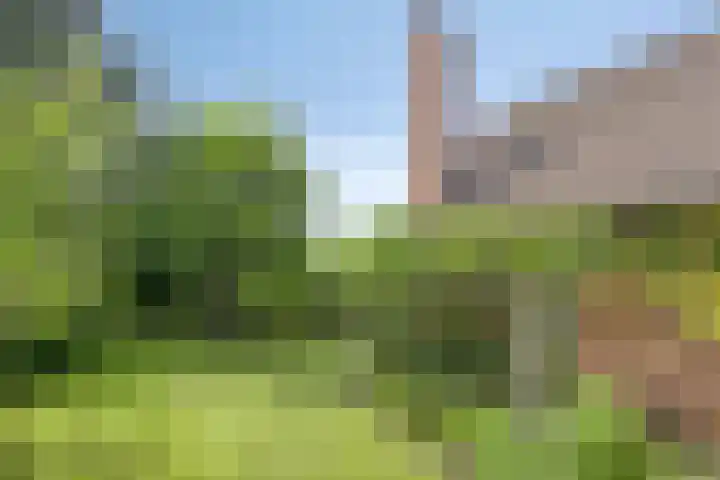 Vogelwikke 24 Lochem thumbnail 50