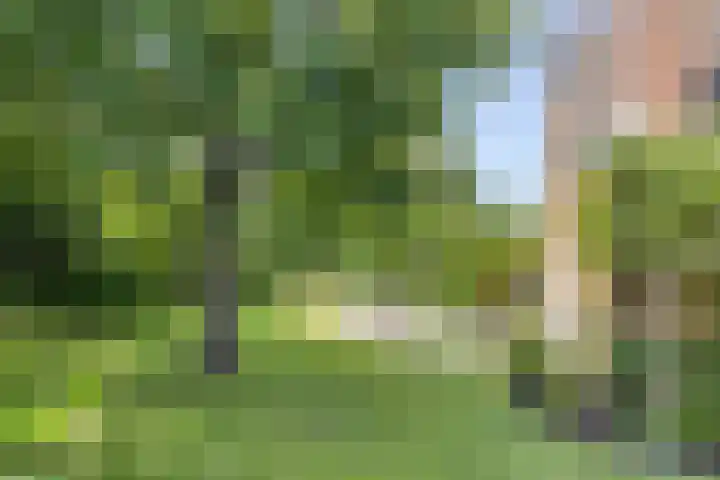 Vogelwikke 24 Lochem thumbnail 52
