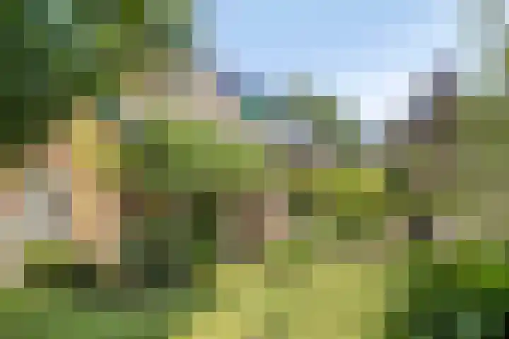 Vogelwikke 24 Lochem thumbnail 53