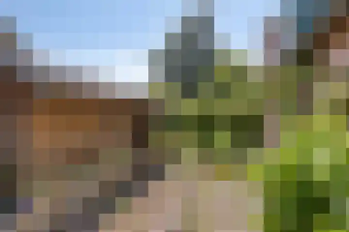 Vogelwikke 24 Lochem thumbnail 54