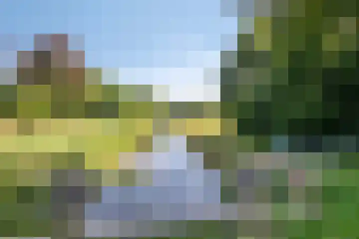 Vogelwikke 24 Lochem thumbnail 55
