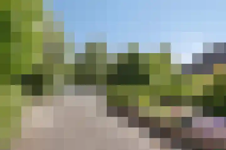 Vogelwikke 24 Lochem thumbnail 6