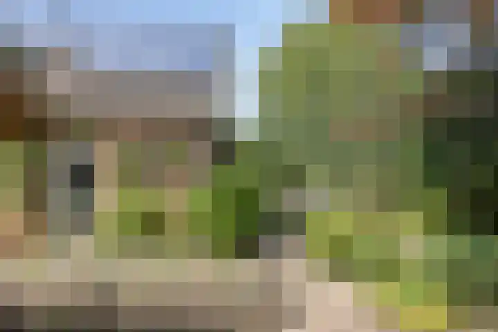 Vogelwikke 24 Lochem thumbnail 7