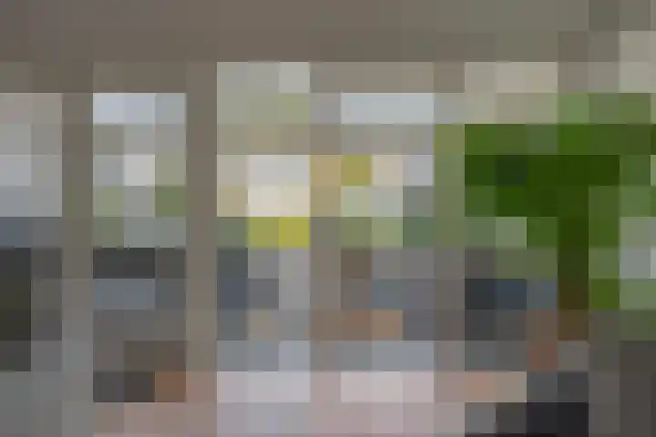 Vogelwikke 29 A Barneveld thumbnail 17