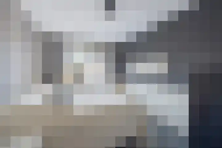 Vogelwikke 29 A Barneveld thumbnail 21