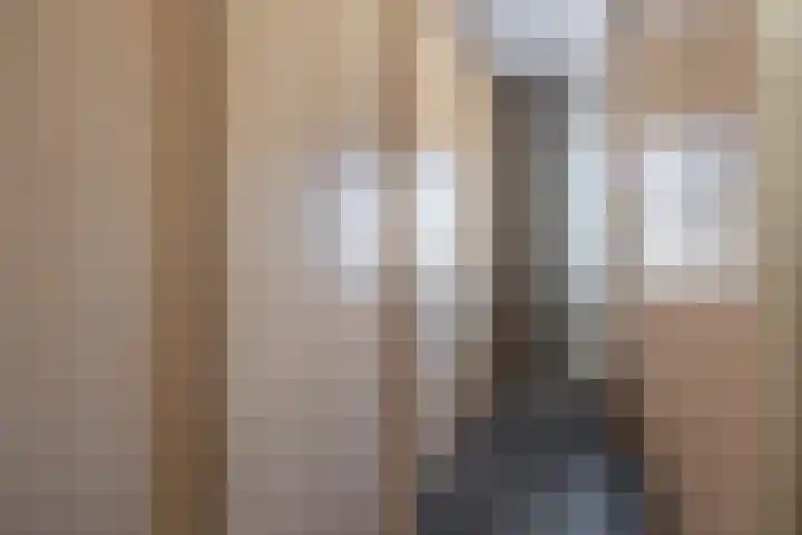 Vogelwikke 29 A Barneveld thumbnail 27