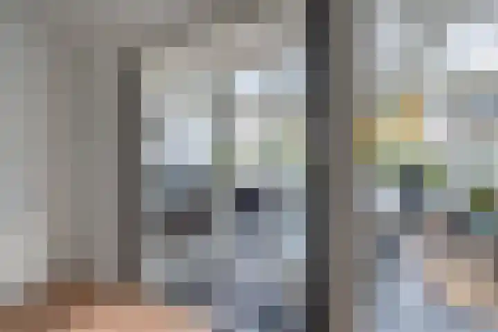 Vogelwikke 29 A Barneveld thumbnail 33
