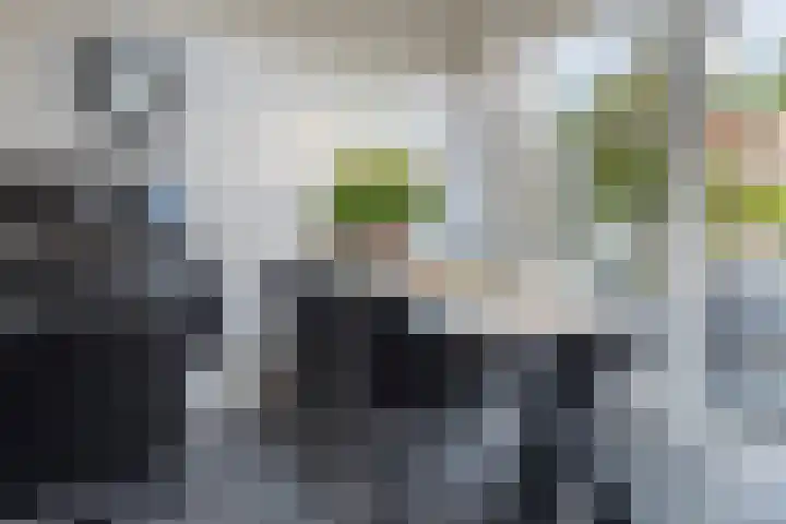 Vogelwikke 29 A Barneveld thumbnail 36