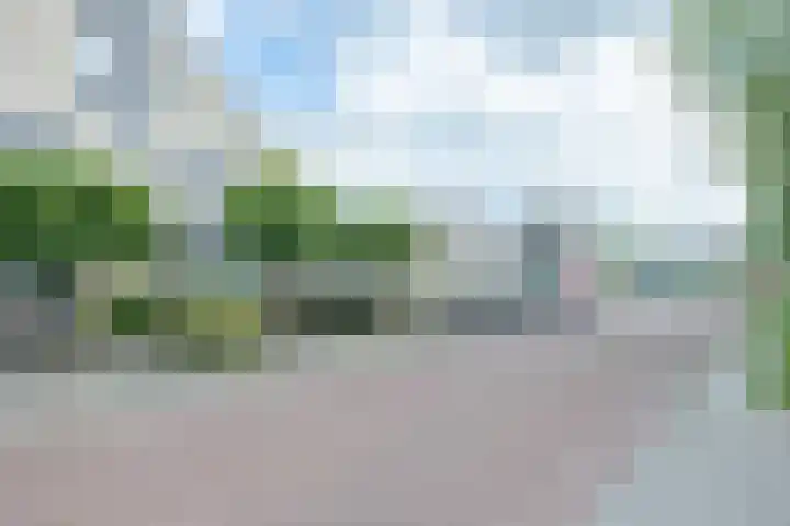 Vogelwikke 29 A Barneveld thumbnail 44