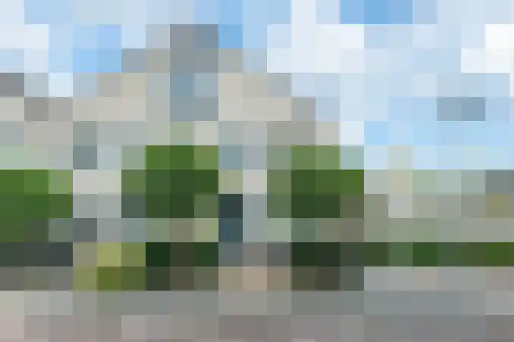 Vogelwikke 29 A Barneveld thumbnail 45