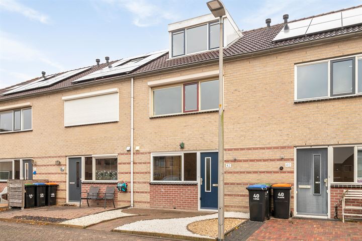 Vogelwikke 42 in Swifterbant foto