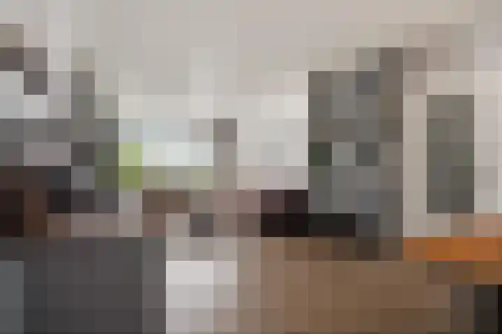Vogelwikke 91 Emmen thumbnail 11