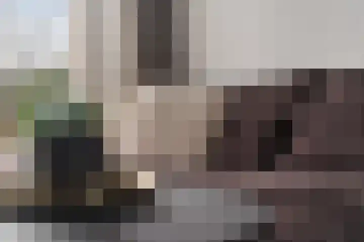 Vogelwikke 91 Emmen thumbnail 15
