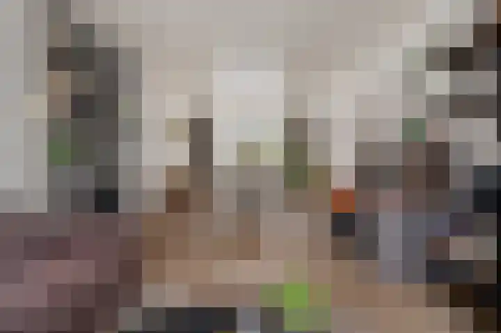 Vogelwikke 91 Emmen thumbnail 16