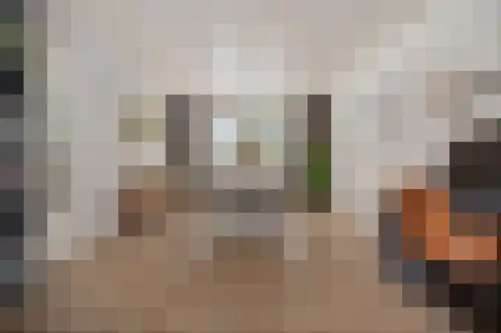 Vogelwikke 91 Emmen thumbnail 18
